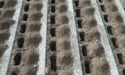 Erzurum'da kazılan 500 mezarın sırrı ortaya çıktı