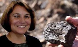 Şüpheli şekilde düşen uçaktaydı... Prof. Dr. Engin Arık'ın çalışmasını o ülke tamamladı