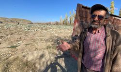 Çiftçi, tarlaya tezgah kurdu... Halk mutlu, aracı şok!