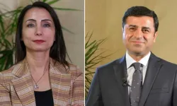 DEM Parti Eş Genel Başkanı Hatimoğulları, Demirtaş'la görüşmeye gidecek