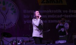 DEM'li Hatimoğulları sürece vurgu yaptı, "Hakkari’ye atanan kayyum derhal geri alınmalıdır" dedi