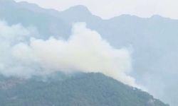 Yıldırım orman yangını çıkardı!