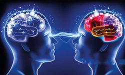 Cambridge Sözlüğü, 2025'in kelimesini belirledi!