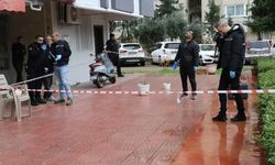 Anne ve oğlu bir gün arayla aynı balkondan düşüp öldü!