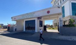 Cezaevinden tahliye oldu, birlikte yaşadığı kadını boğarak öldürüp boş araziye gömdü