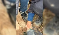 10 yaşındaki çocuğu dövüp canlı canlı gömmüş!