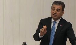 CHP'li Burhanettin Bulut'tan Gülşah Durbay için tarihi çağrı