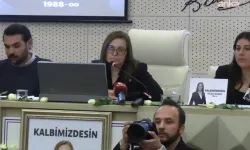 Gülşah Durbay'ın ardından yeni başkan seçildi