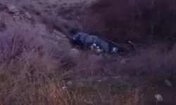 Genç çift ile 3 aylık bebekleri 10 metreden yuvarlandı