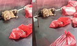 Mansur Yavaş’a yeni kumpas: Ankara Büyükşehir Belediyesi’nden suç duyurusu