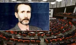 'Yeşil' Meclis gündeminde: DEM Partililer ‘Yeni İmralı Sürecinde nereden çıktı bu’ diye soruyor