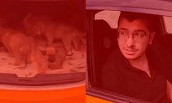 Ankara'da yavru köpeklere tecavüz edip öldüren doktora verilen cezanın gerekçesi açıklandı