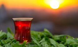 Lipton Türkiye'deki çay üretimini durdurdu