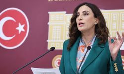 CHP'li Rızvanoğlu Silivri Danamandıra Taş Ocağı krizini TBMM gündemine taşıdı