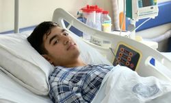 Bir tane ‘köygöçüren’i çiğ yedi, bir günde ciğeri iflas etti!