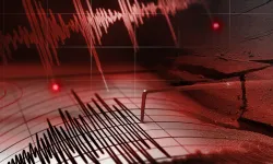 Van'da 4,6 büyüklüğünde korkutan deprem