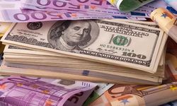 TCMB anketi: İşte yıl sonu enflasyon ve dolar tahmini