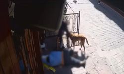 Epilepsi hastası kriz geçirirken kıyafet cep telefonunu çaldılar