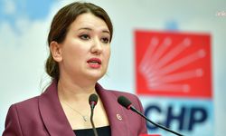 CHP'li Gökçe Gökçen'den Bilgekağan Şarbat açıklaması! Gözdağı olsun diye tutuklandı