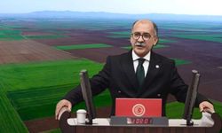 Alpu Ovası'na hançer! Karar Resmi Gazete'de yayımlandı CHP'li Arslan isyan etti