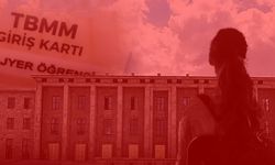 TBMM'deki istismarda skandal ifadeler! Her ustanın ilgilendiği bir stajyer…