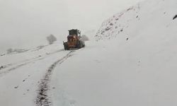 Kar yağışı etkili oldu! 41 köy yolu ulaşıma kapandı