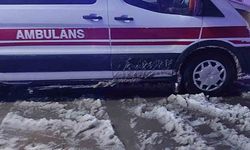 2 belediye meclis üyesinin cansız bedeni bulundu