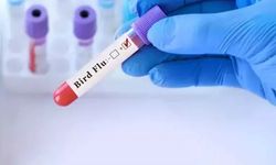 Kuş gribinden ilk insan ölümü gerçekleşti… Evrim geçiriyor!