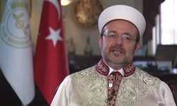 Eski Diyanet İşleri Başkanı Mehmet Görmez'e yeni görev