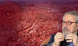 New York Times'ın 'İstanbul depremi' haberinin ardından Naci Görür'den kritik uyarı