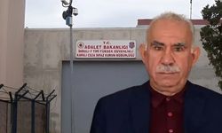Saygı Öztürk, Öcalan'ın taleplerini sıraladı! Gabar petrolünden pay, Güneydoğu'dan elde edilen elektrikten hisse
