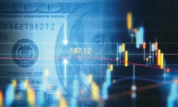 OECD'nin Türkiye raporunda çarpıcı tahmin!