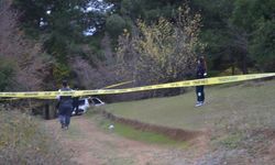 Samsun'da korkunç olay! Kısa süre önce boşanan çift başlarından vurulmuş halde bulundu