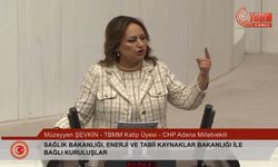 CHP'li Şevkin, AKP milletvekillerini kızdırdı
