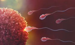Sperm bankası faciası… Yüzlerce çocuk tehlikede!