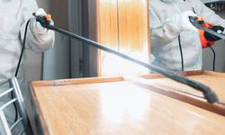 Türk Eczacıları Birliği'nden ilaçlama kaynaklı zehirlenmelere ilişkin açıklama