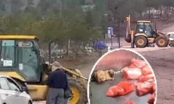 Ankara’daki barınak iddiasının ardından Mansur Yavaş talimat verdi