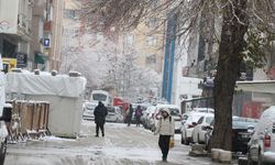 Van'da 90 yerleşim yeri ulaşıma kapandı