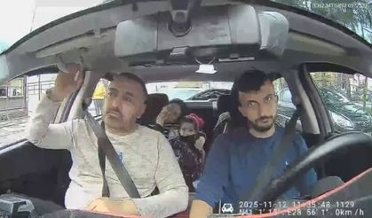 Böcek ailesinin yürek yakan son görüntüsü