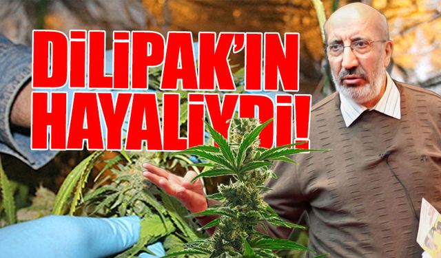 AKP'nin 'kenevir' açılımı ortaya çıktı: Kanun değişikliğine gidiliyor