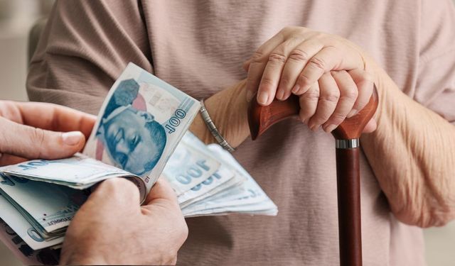 Binlerce emeklinin maaşı tehlikede! e-Devlet'ten kontrol edilebiliyor