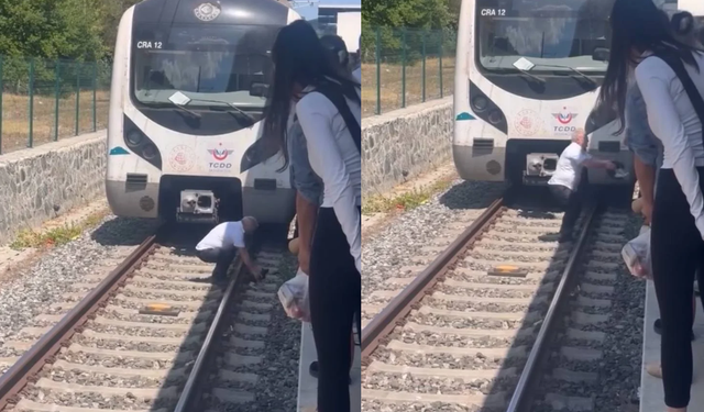 Raylara düşen kediyi kurtarmak için treni durdurdu, raylara indi