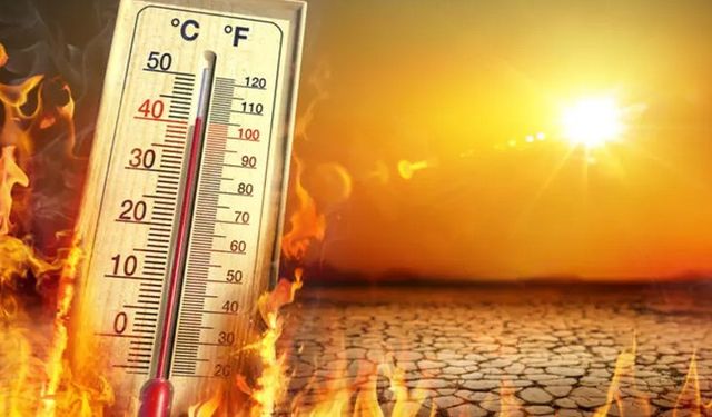 Bu yaz, en sıcak yaz olabilir: Su kaynakları korunmalı