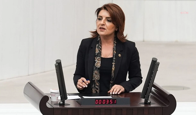 CHP'li Gülcan Kış, Bakan Şimşek'e sordu...