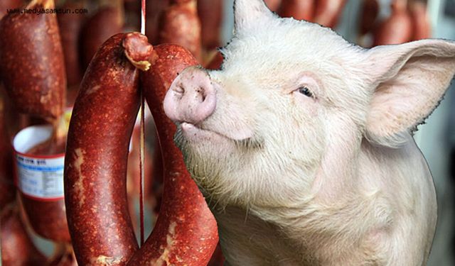 Aynı markada yine skandal! Sucukta domuz eti, peynirde mantar ilacı...