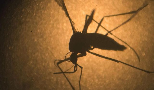 Çin'den yeni bir hastalık yayılıyor! ABD uyardı