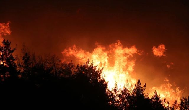 Mersin ve Hatay'da yangınla mücadele devam ediyor! Binlerce kişi tahliye edildi…