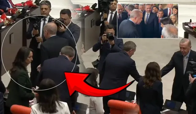 Erdoğan DEM Partililerden özür diledi