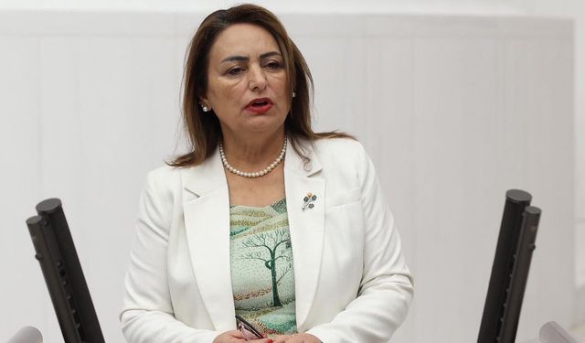 CHP Milletvekili Müzeyyen Şevkin vatandaşın rekor borcunu açıkladı
