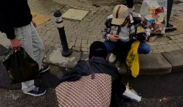 İstanbul’da otobüse çarpan martı, kalp masajıyla hayata döndürüldü!